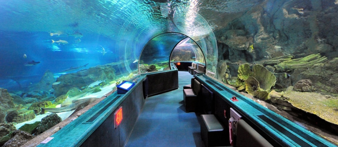 water_tunnels.jpg